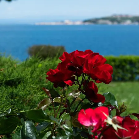 Dom wakacyjny Beachfront House Sanja *